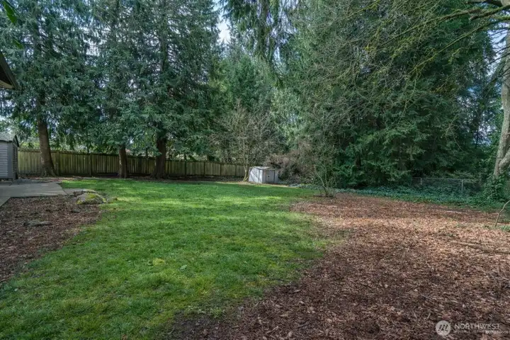 RV/ Boat Parking in the backyard