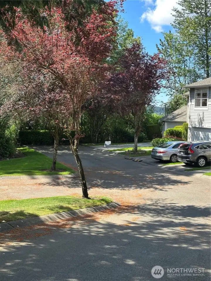 View of the dead-end location, showing additional parking spaces. View of the dead-end location, showing additional parking spaces.