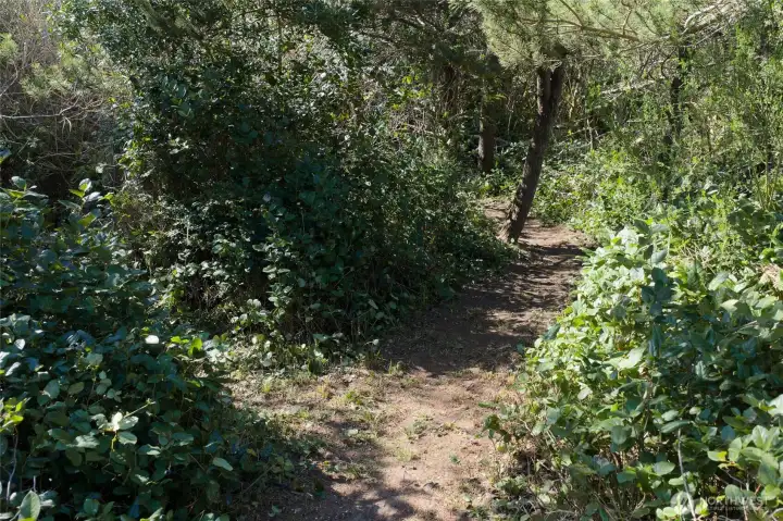 It will only take a few seconds to follow your very own trail to the beach!