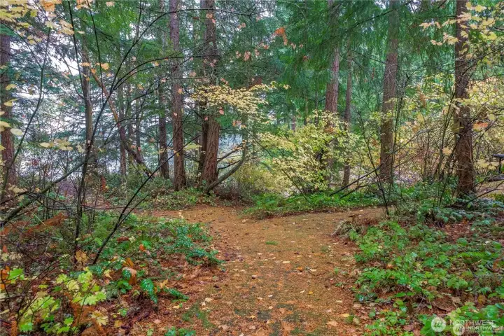The back yard includes a trail (less than a 2 minute walk) to most of Clearwood amenities!!