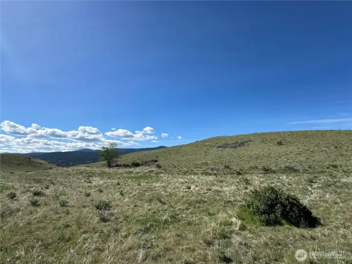 View to the south. The dark mountains in the distance is the Okanogan National Forest.