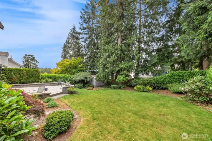 Backyard with mature landscaping