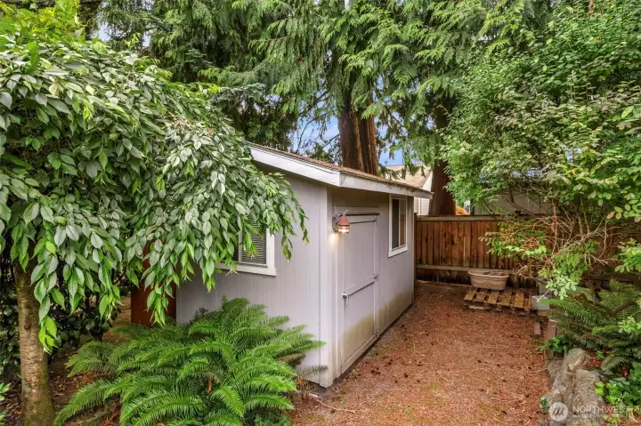 Garden Shed