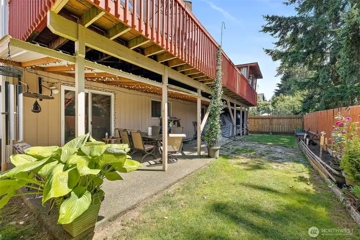 Back yard and patio