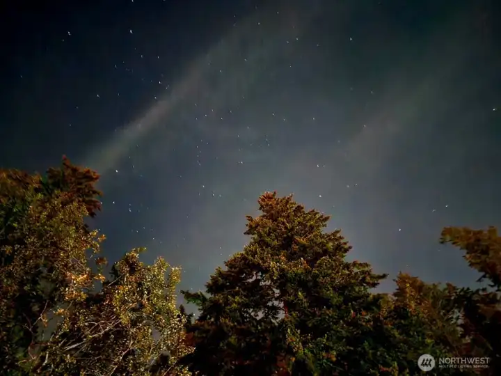 Starry nighs Starry nighs