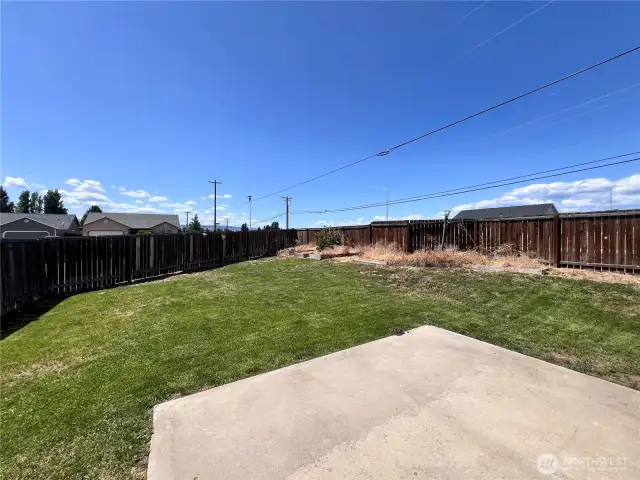 Back Yard