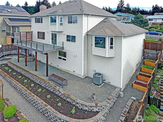 Low maintenance raised beds and fruit trees!