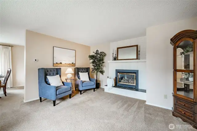 Living Room with gas FP