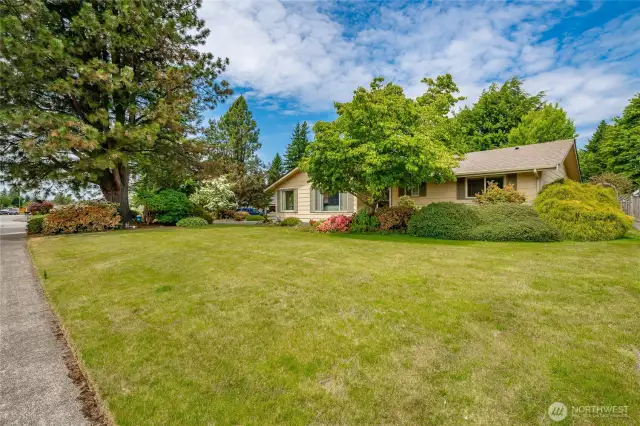 Situated on large corner lot