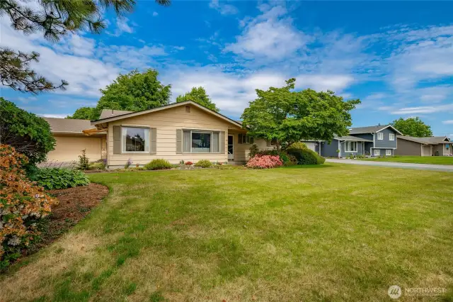 South facing front yard