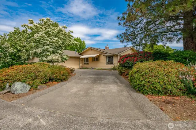 Large corner lot with tons of parking