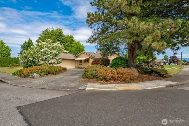 Sunny corner lot
