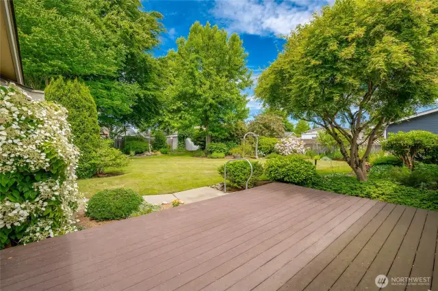 Deck and view of backyard