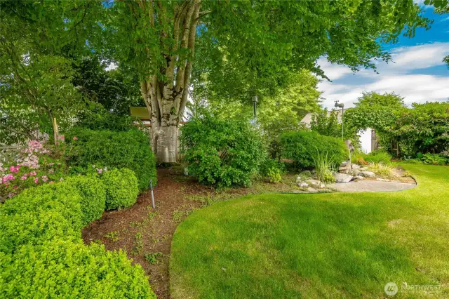 Backyard with mature trees and landscaping, pond, garden shed and greenhouse.