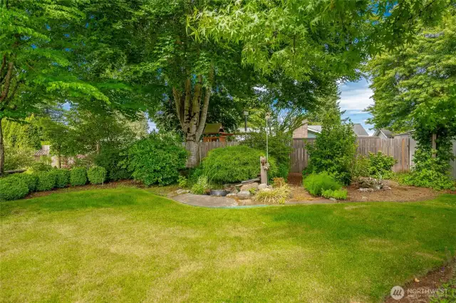 Backyard with pond and garden shed