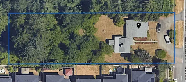 large lot!