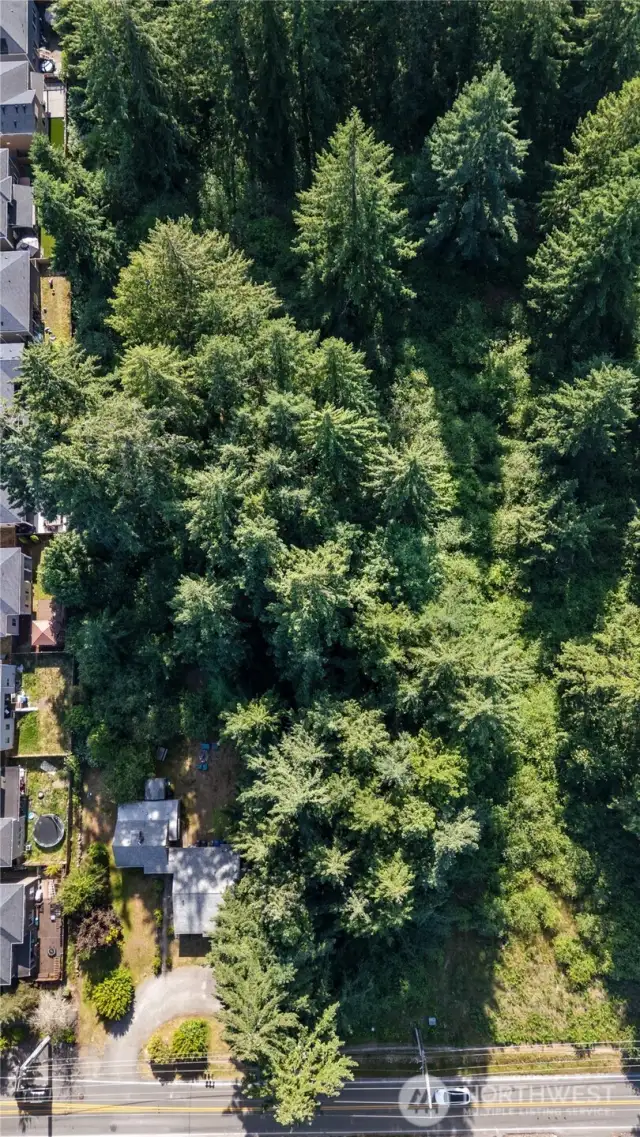 secluded and private lot has electric hookups for RV parking