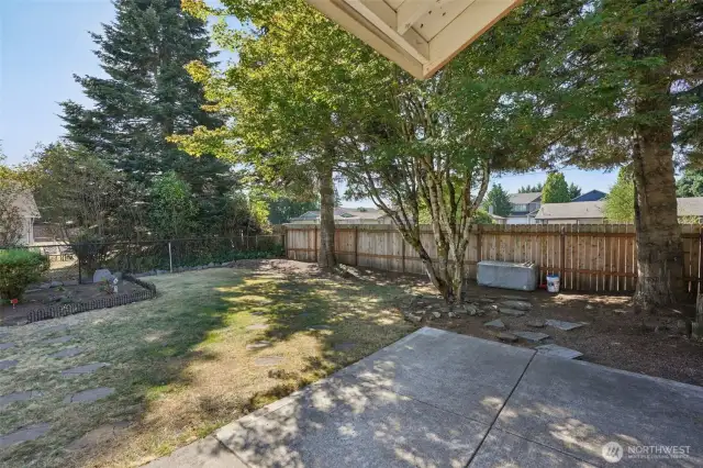 Rear Yard