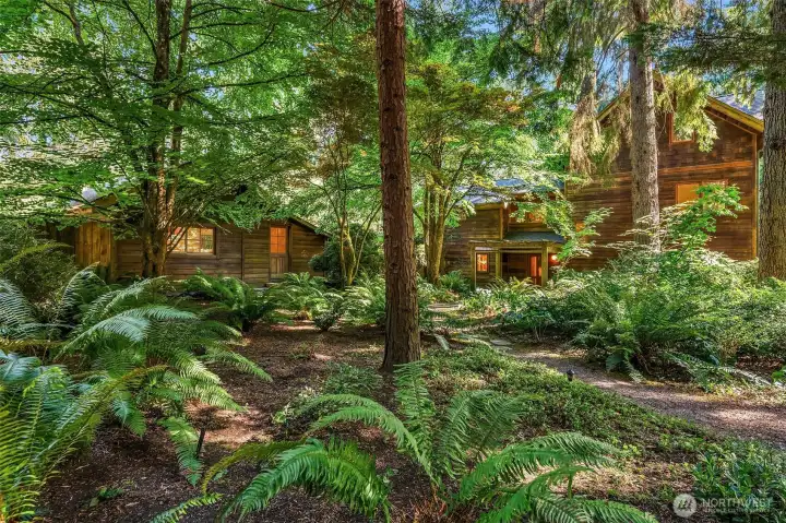 Wend your way to the front door through a magical forest.