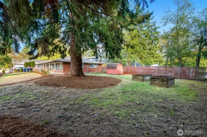 Large side yard
