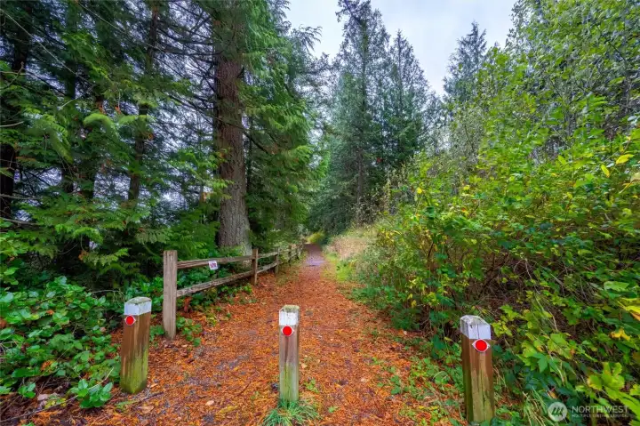 Stay on Sinnes Road to the entrance to Lake Sixteen walking trails and private dock.