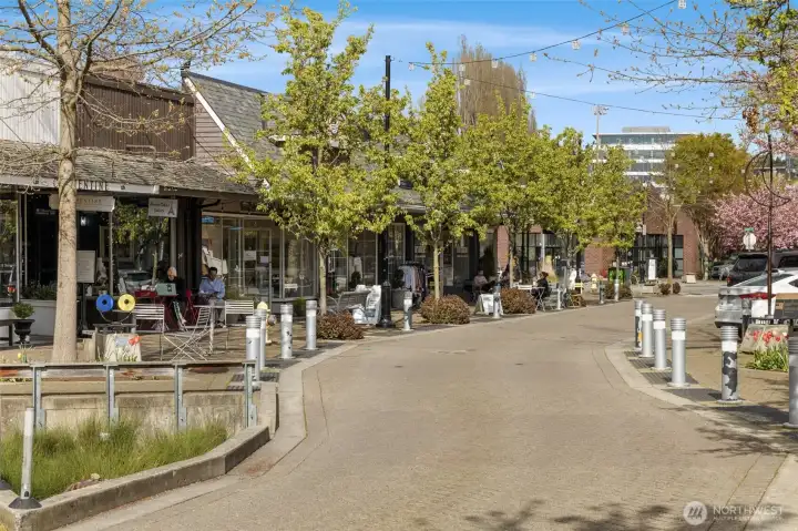 Heart of Kirkland at your doorsteps—walk to restaurants, boutiques, coffee shops, and weekend markets, all just minutes from home.