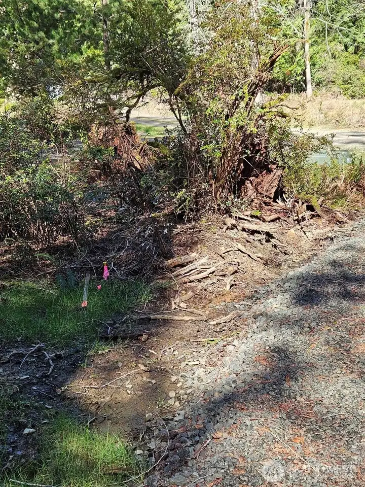 Example of flag signifying lot border