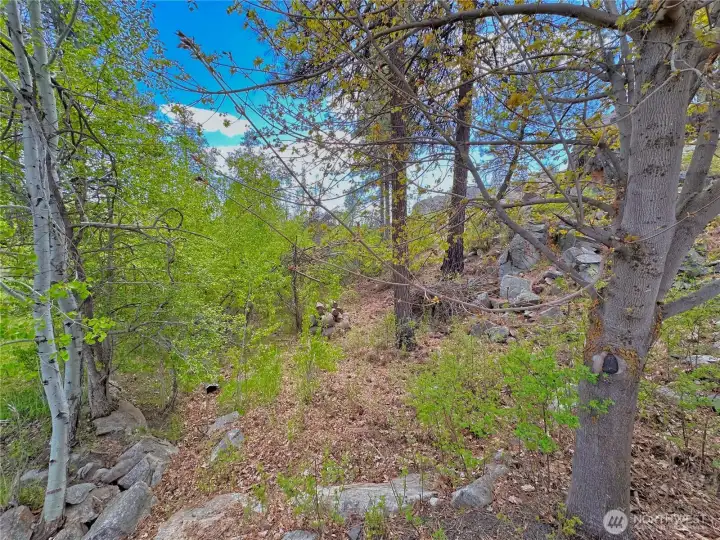 Serenity surrounds this nature inspiring retreat complete with your own seasonal creek through the back yard