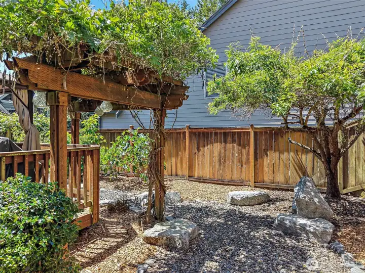 Low Maintenance Backyard