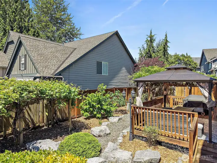 Low Maintenance Backyard