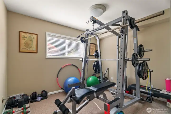 Lower Level Bedroom/Workout Room