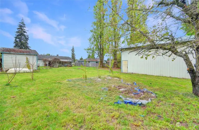 Excellent flat double lot! Plenty of room for gatherings, bon fire - you name it!