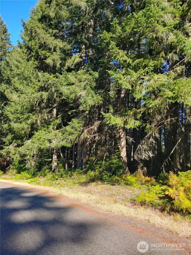 Nice Flat, Secluded Property to Build your Dream Get-a-Way Home