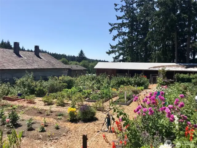 Walk to the Farm and Community Gardens
