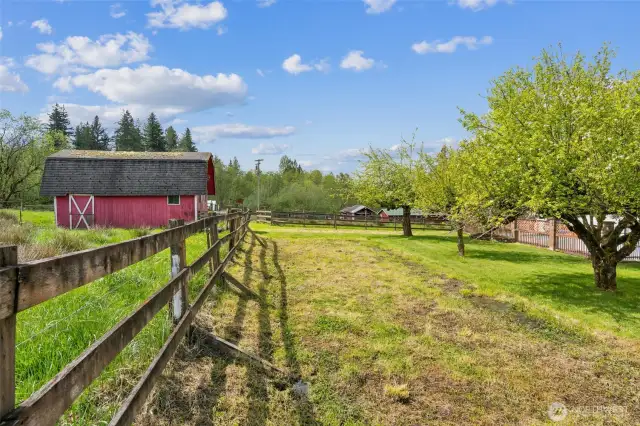 Fenced in Pasture and Barn