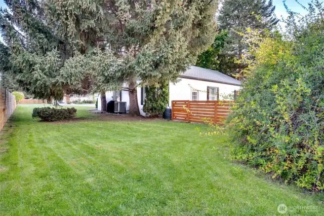 Expansive side yard and privacy fence that runs from Gibson to the alleyway.