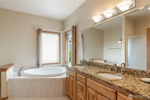 Primary bathroom w/soaker tub and walk-in shower