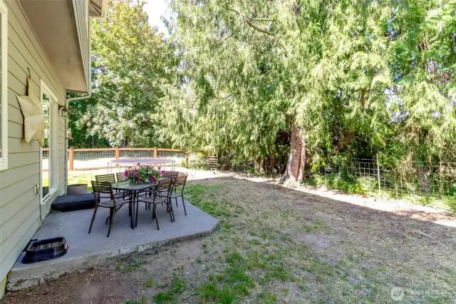 Nice fenced in backyard!