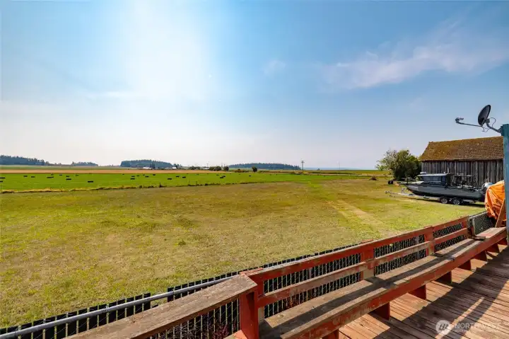 Best view in the park