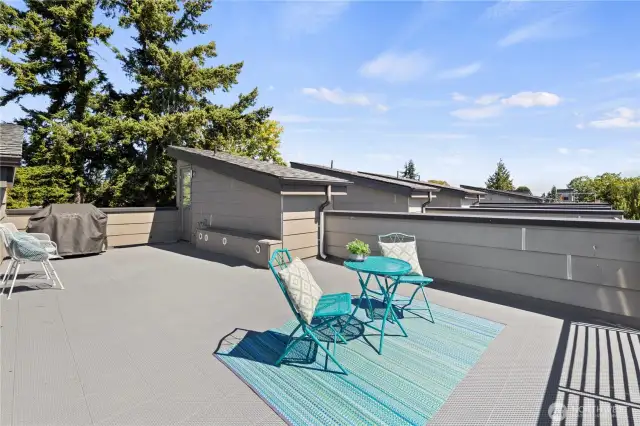 Roof top deck is large enough for entertaining
