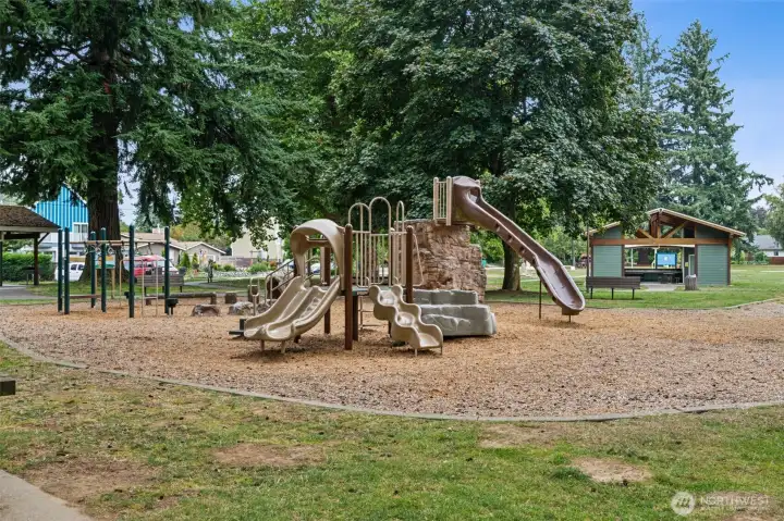 Playground at Lions Park