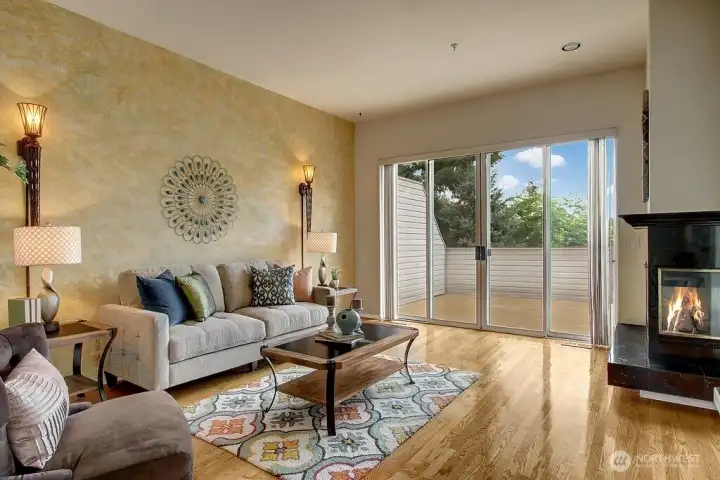 Gleaming Hardwoods