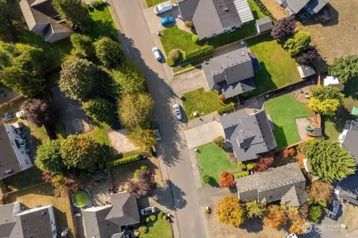 An aerial shot of the neighborhood