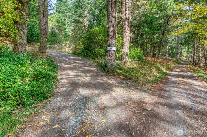 Private driveway located just off quiet LaPorte Road, where a giant rhododendron greets you with vibrant seasonal blooms.