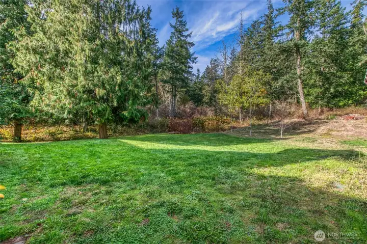 Lovely grassy area on the back side of the property.