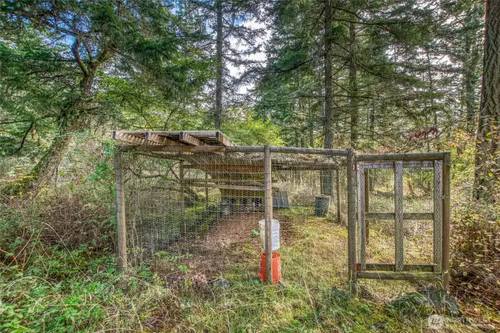 Ever dreamed of having your own chickens? A rustic coop awaits, ready for your backyard flock.