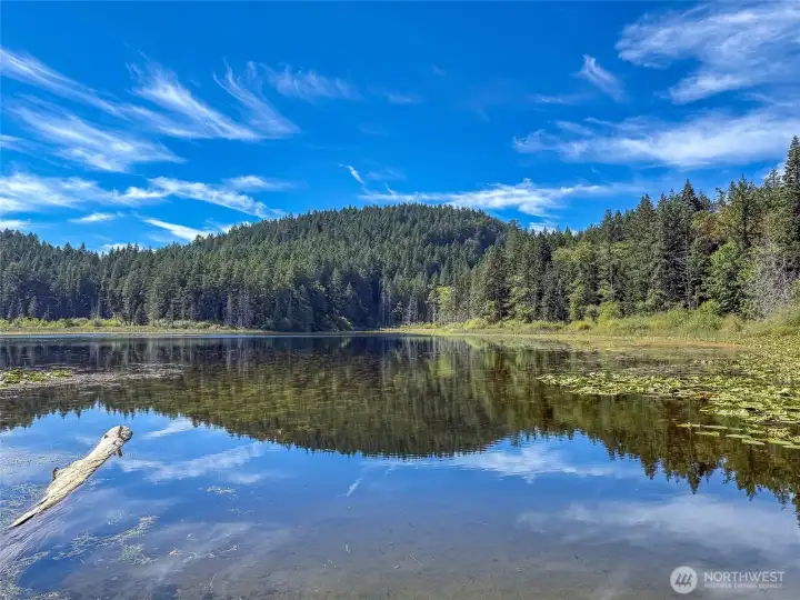 Killebrew Lake Preserve, a local gem just under 3 miles away, offers abundant bird life, scenic trails and a 20-acre lake that’s perfect for fishing, hiking and year-round recreation.