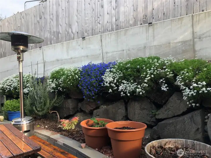 Garden by outside dining area