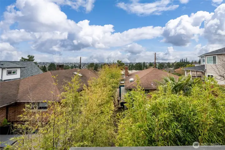 The sunsets are amazing and when the Olympic Mountains are out they stand here in all their glory. There is a height restriction on the house in front to protect your view.