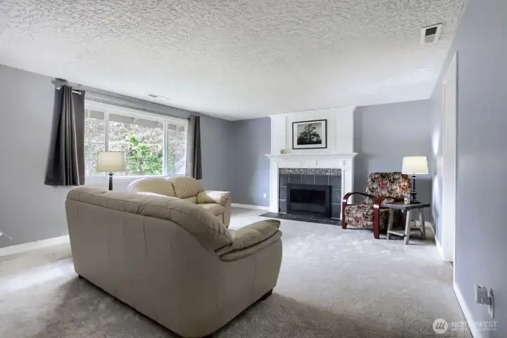 Living Room-Fireplace